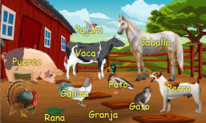 Bildresultat för ANIMALES