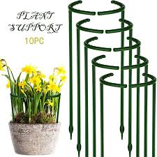 However, be aware they will grow in a round bush shape and take up more space than a narrower plant. 6 10 12pcs Plant Support Flower Support Stake Half Round Plant Support Ring Plant Cage Holder Flower Pot Climbing Trellis Best Offer 4a962 Goteborgsaventyrscenter