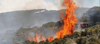 We did not find results for: La Reunion Un Incendie Ravage Le Massif Du Maido Meteo France