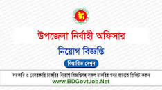 Upazila Nirbahi Officer Job Circular 2023 | BD GOVT JOB