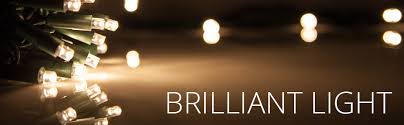 We did not find results for: Amazon Com Kringle Traditions Blue Led Christmas Mini String Light Set 50 Lights 17 Ft Indoor Outdoor Blue Christmas Lights Decorations Blue Led Christmas Lights Outdoor Christmas String Lights 4 Spacing Garden