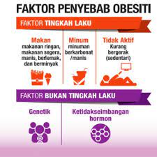 Segala jenis makanan yang mengandung bawang berbahaya bagi kucing. Faktor Penyebab Obesiti Hati2 Erina Glambeauty Facebook