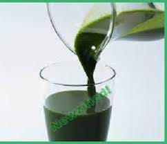 Such function of garden egg leaf allows kidneys to filter blood properly. Health Benefits Of Garden Egg Leaf Juice And Side Effect 9jafoods