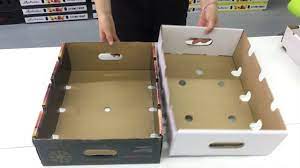 Fruit Packaging Mango Carton Wholesale Coffepackign Fruit Packaging Carton Design Packaging