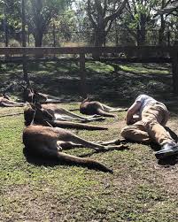 Posse Highlight: A-Aron