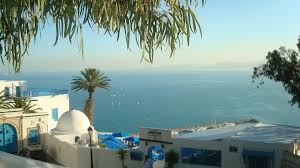Dec 01, 2014 · sidi bou said is really just the one main road, going up the hill, ending in many fantastically situated cafés overlooking the gulf of tunis and the marina of sidi bou said. Sidi Bou Said Tunisia Sidi Bou Said Sidi Bou Said Tunisia Tunisia
