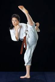 Karate Martial Arts Girl Female Martial Artists Women Karate