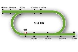 We can offer you some more new highlights. Sha Tin Racecourse Today S Results Betting