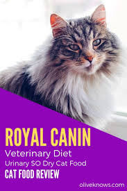 Royal Canin Veterinary Diet Urinary So Dry Cat Food Review Oliveknows Cat Food Reviews Dry Cat Food Cat Food