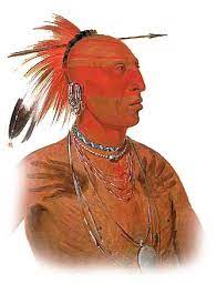 Check spelling or type a new query. Native Indian Hairstyles Native Indian Tribes For Kids