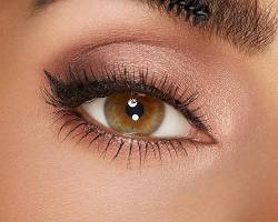 Image of applying eyebrow makeup