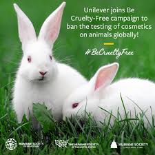 Brands that are not cruelty free | be beautethical. Breaking News Unilever Maker Of Dove And Degree Products Supports Global Ban On Animal Testing For Cosmetics A Humane World