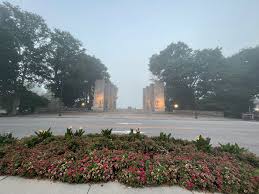 Amy Meli (@amydmeli.bsky.social) — Bluesky