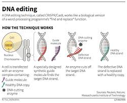 Why Treat Gene Editing Differently In Two Types Of Human Cells Scitech Connect