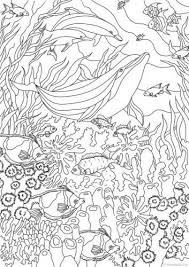 Pin On Zentangles Adult Colouring Coloring Pages
