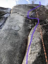 Image result for Cremasteric Reflex