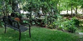 Bird Bath Ideas Bird Friendly Yard Includes Food Water And Sheltering Shrubs Small Garden Landscape Design Landscape Design Landscaping Tips