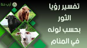 فسر ابن سيرين البقرة في الحلم بشكل عام على أنها دليل على أهل الدين وإن رؤيتها تدل على الخير تفسير حلم البقر للعزباء. ØªÙØ³ÙŠØ± Ø­Ù„Ù… Ø§Ù„Ø«ÙˆØ± ÙƒÙ„ Ø´ÙŠØ¡ Ø¹Ù† Ø±Ø¤ÙŠØ© Ø§Ù„Ø«ÙˆØ± ÙÙŠ Ø§Ù„Ù…Ù†Ø§Ù… Ø§Ø±Ø¨ Ø­Ø¸