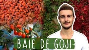 En jus froid ou sous forme d'infusion. Baies De Goji Pourquoi Les Consommer Bonheur Et Sante