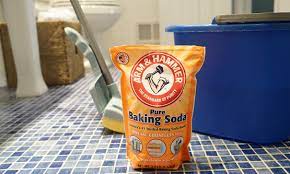 You should be familiar with this step by now. How To Get Rid Of Cat Urine Smell Arm Hammer