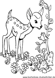 11 Ausmalbilder Ausmalbilder Hirsch Reh
