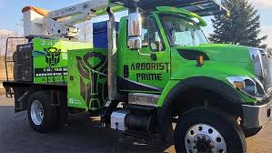 Tree removal, tree trimming, and stump removal is our area of expertise. Waterford Tree Service Arborist Prime Llc Metro Detroit