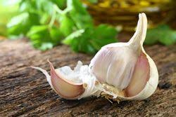 Blattlause Mit Knoblauch Bekampfen 3 Moglichkeiten Vorgestellt Knoblauch Pflanzen Pflanzen Knoblauch Gesund