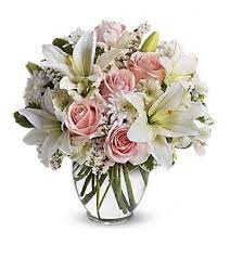 From romantic roses to modern arrangements, we've got it all! Just Because Flowers Gifts San Antonio Tx Florist