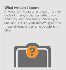 We've put some small files called cookies on your device to make our site when we eat and drink more calories than we use up, our bodies store the excess as body fat. Why You Shouldn T Exercise To Lose Weight Explained With 60 Studies Vox