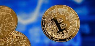 23 weird things we've learned about elon musk. Bitcoin This Year I Stand To Make 200 Million More Than Elon Musk