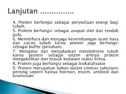 Bkp penyusunan dan analisis neraca bahan makanan nbm. Protein Disusun Oleh Kelompok 6 Arpin Eka Septiawan Novi Zahrani Ppt Download