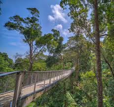The garden path leading from the main. Langur Way Canopy Walk The Habitat Penang Hill