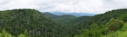 Forests in the temperate regions experience a wide range of variability in temperature and precipitation. Sylvanseeds A Seed Germination Database For Temperate Deciduous Forests Vegsciblog Org