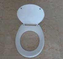 China Ufc Toilet Seat Lid Mould,Ufc Toilet Seat Lid Mould ...