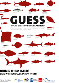 Fish For The Future Poster Future Poster Sign Writing Animal Activism