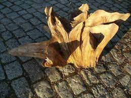 Maybe you would like to learn more about one of these? Dekorative Wurzeln Echtes Holz Verschiedene Grossen In Heppenheim Sonstiges Fur Den Garten Balkon Terrasse Kostenlose Kleinanzeigen Bei Quoka De