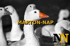 Nov 13, 2018 · az óvoda udvarán voltak ludak elkerítve, a gyerekek egészen közel megnézhették. Marton Nap Eredete Ki Volt Szent Marton Nevezetes Napok
