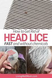 Dry the brush or comb on a towel. How To Get Rid Of Lice Nits Without Chemicals Living Well Mom