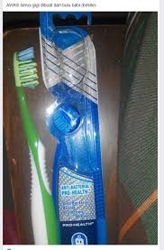 Kerana anda tidak menyentuh bulu tersebut ketika mengecat. Bristle Di Label Bungkusan Berus Gigi Merujuk Kepada Bulu Babi Sebenarnya My