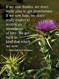 See more ideas about marriage and family, marriage, love and marriage. Lds Quotes On Family Relationships Quotesgram