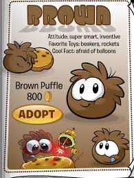 Every penguin is able to adopt them for 800 coins in the adopt a puffle catalog in the pet shop. Club Penguin Rewritten Brown Puffle Club Penguin Mountains