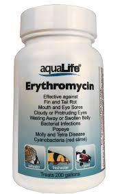 Image result for Erythromycin