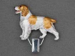 Image result for velššpringršpaněl