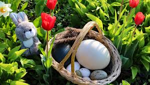 So wird auf eine heidnische frühlingsgöttin namens eostre verwiesen. Zoo Karlsruhe Zu Ostern 2017 Mit Aktionen Fur Kinder Von Kuken Und Eiern