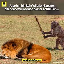 Lustige Notitle Lustig Bilder Witze Haha Lustige Tiervideos Lustig Haha Lustig