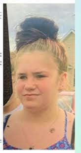 Hurtbourne and Shelbyville dogs ran away when approached