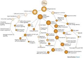 Functional Analysis For Rna Seq Introduction To Dge