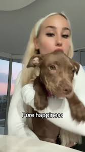 For me its the shoe in the backround #blondie #giftideas #santa #doggo  #fypusa