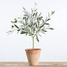 Metal Framed Vase In 2020 Faux Olive Tree Indoor Olive Tree Olive Plant