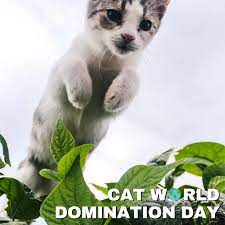 Exhaustive directory · call for appointment now Healthy Pets Animal Hospital Home Facebook